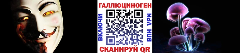 Купить закладки  Малгобек  Псилоцибиновые грибы Psilocybe 